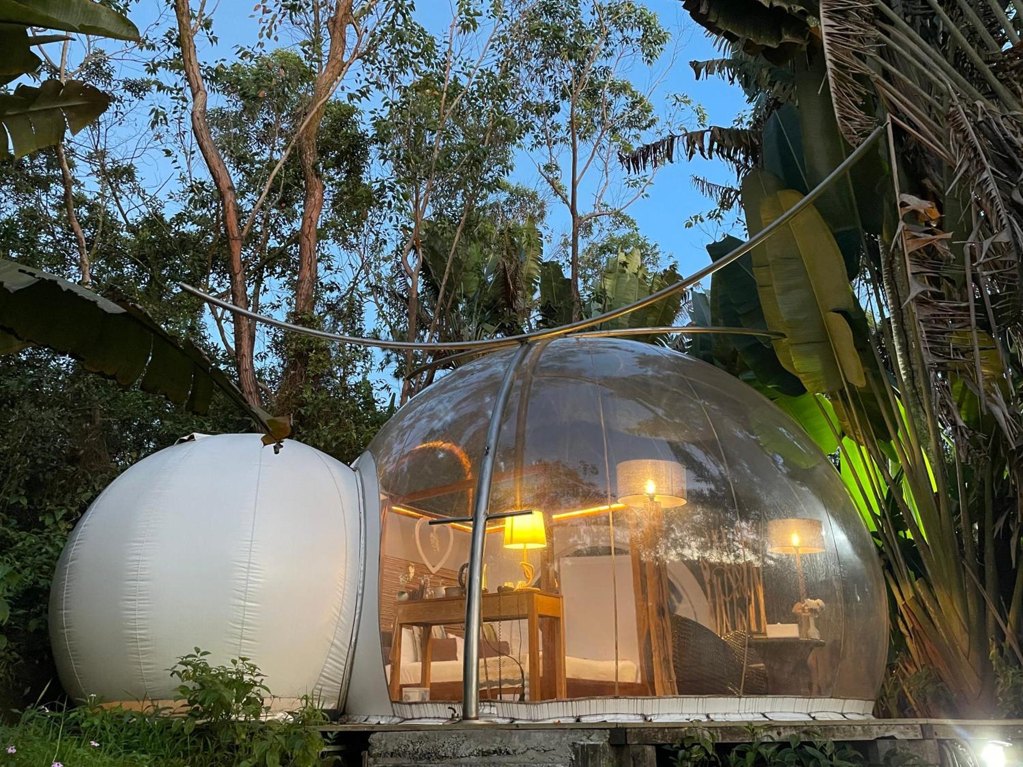 Bubble Lodge Bois Cheri Plantation Exterior foto